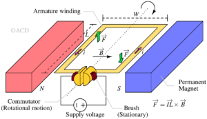 Working principle of DC motor. Showing direction of torque when a current carrying conductor is placed in a magnetic field.