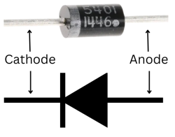 Anode and Cathode of diode